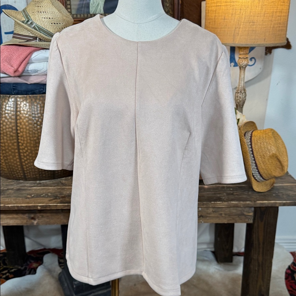 Ann Taylor Faux Suede Top